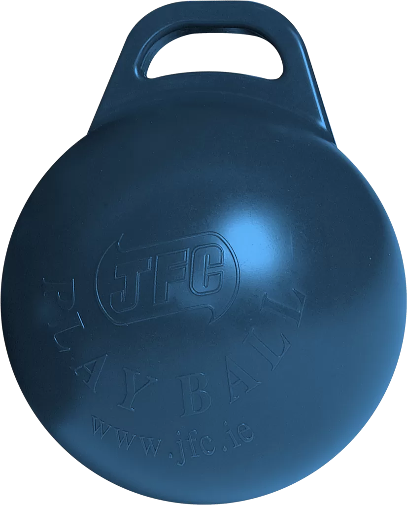 Calf Play Ball
